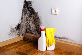 Best Mold Prevention Services  in Ashland, WI